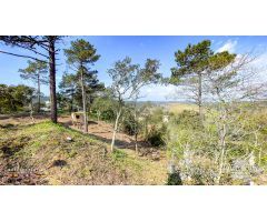 Parcela en Venta en Vidreres, Girona