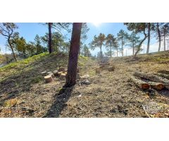 Parcela en Venta en Vidreres, Girona