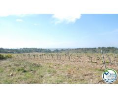 Parcela en Venta en Garriguella, Girona