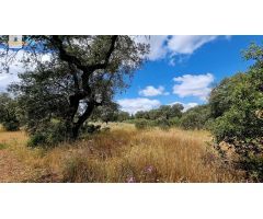 Terreno de 5000 m2 en urbanización Tres Arroyos, Badajoz