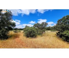 Terreno de 5000 m2 en urbanización Tres Arroyos, Badajoz