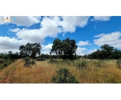 Terreno de 5000 m2 en urbanización Tres Arroyos, Badajoz