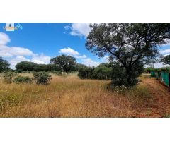 Terreno de 5000 m2 en urbanización Tres Arroyos, Badajoz