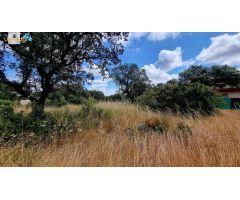 Terreno de 5000 m2 en urbanización Tres Arroyos, Badajoz