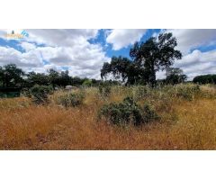 Terreno de 5000 m2 en urbanización Tres Arroyos, Badajoz