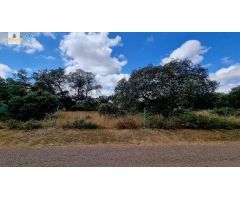 Terreno de 5000 m2 en urbanización Tres Arroyos, Badajoz