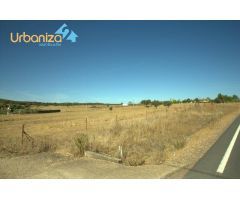 SE VENDE PARCELA RUSTICA DE RECREO. EN ZONA DE CARRION. de 1,5 hectáreas.