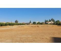 Parcela en Venta en Alhendín, Granada