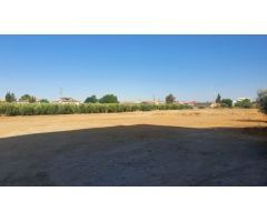 Parcela en Venta en Alhendín, Granada