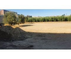 Parcela en Venta en Alhendín, Granada