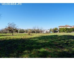 Finca Rústica en Alcaudete (Jaén)