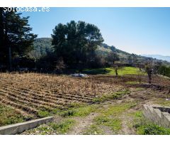 Finca Rústica en Alcaudete (Jaén)