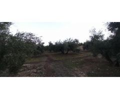 Terreno en Pozo de la Teja, Polígono 508, Villatorres, Jaén