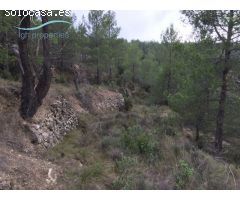 MÁS DE 140 HECTÁREAS DE TRANQUILIDAD EN PLENA MONTAÑA