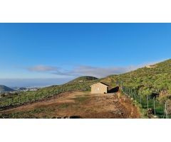 Casa independiente en precioso terreno con vistas a la montaña!