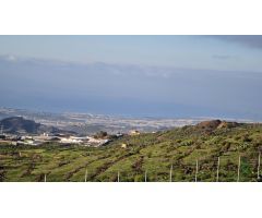 Casa independiente en precioso terreno con vistas a la montaña!
