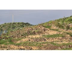Casa independiente en precioso terreno con vistas a la montaña!