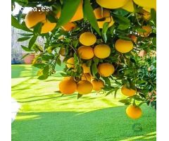Hotel Rural en venta