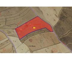 Finca rustica en Venta en Vegallera, Badajoz