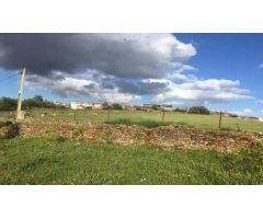 TERRENO EN VENTA EN ZAFRA