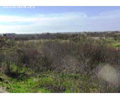 TERRENO URBANIZABLE EN PUEBLONUEVO