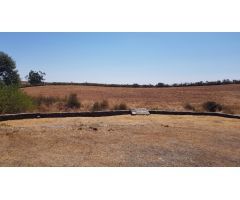 Finca rústica con casa de piedra en La Codosera-Bacoco