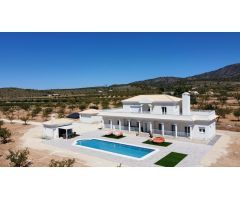 Chalet en Venta en Pinoso, Alicante