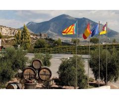 Chalet en Venta en Pinoso, Alicante