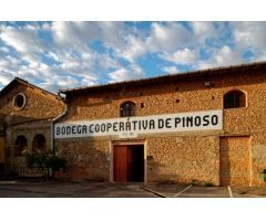 Chalet en Venta en Pinoso, Alicante