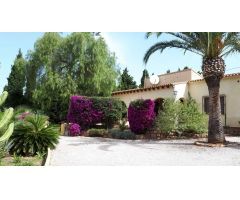 Casa para reformar en parcela de 2.425 m2 a 600 m de la playa en Calpe (Costa Blanca)
