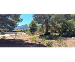 Parcela de 849 m2 totalmente llana con luz y agua muy próxima a todo tipo de serviocios en Calpe (Co