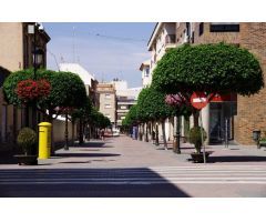 Chalet en Venta en Torre-Pacheco, Murcia