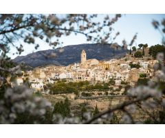 Chalet en Venta en Polope, Alicante