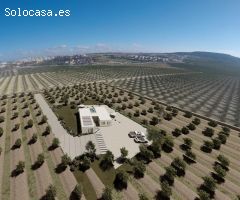 Chalet en Venta en Algorfa, Alicante