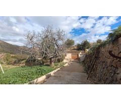 Finca rústica con gran potencial y amplio terreno próxima a todos los servicios.