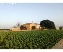 Casa de 150 m2 en terreno de 7.000 m2 en Orihuela (Alicante)