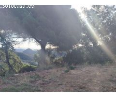 CASA EN TORDERA EN SUBASTA
