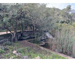 Chalet en Venta en Carcagente, Valencia