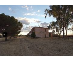 SE VENDE FINCA EN ZAFRA