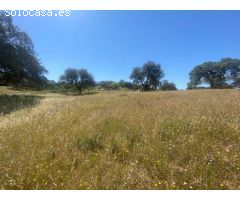 VENTA PARCELA CAMPOMANES