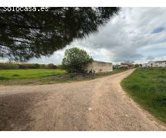 PARCELA A 20 METROS DEL CASCO URBANO DE OLIVENZA