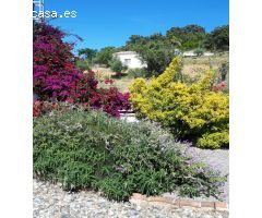 Chalet en Venta en Coín, Málaga