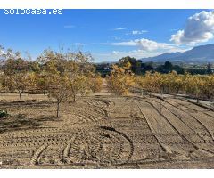 Finca rustica en Venta en Alhaurín el Grande, Málaga