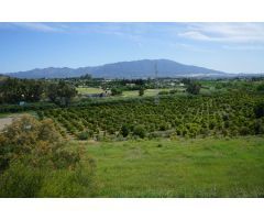 Finca en Venta en Estación de Cártama, Málaga