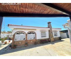 Finca con casa e instalaciones para caballos en Alhaurin de la Torre.