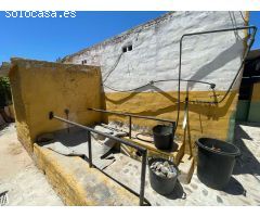 Finca con casa e instalaciones para caballos en Alhaurin de la Torre.