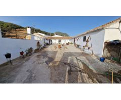 Finca en Venta en Olvera, Cádiz