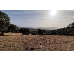 Finca en Venta en Olvera, Cádiz