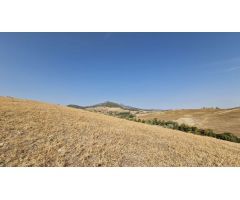 Finca en Venta en Olvera, Cádiz