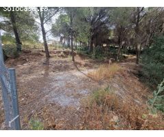 Finca rustica en Venta en Alhaurín de la Torre, Málaga
